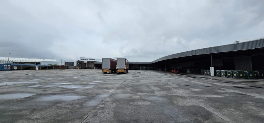 To Let commercial Property for Rent in Parow Industrial Western Cape